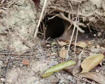 广东省河源市最新新闻及获取指南,轻松掌握时事动态