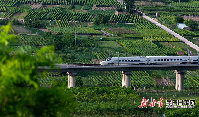 秦安县高铁最新动态🚄