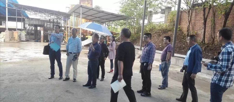 环保督查四川最新动态,坚定绿色发展步伐