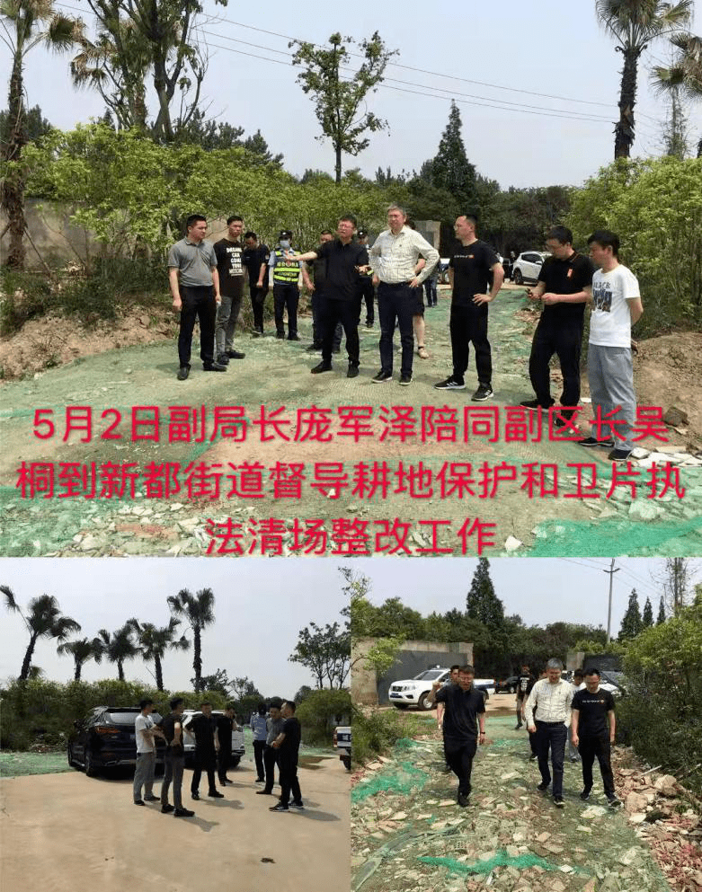 环保督查四川最新动态,坚定绿色发展步伐