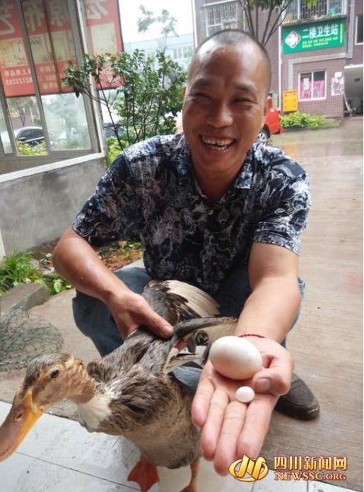 老鸭窝最新地址一,变化中的学习之旅,成就感的源泉,自信起航点