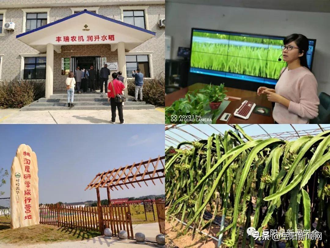 湖南岳阳最新新闻动态及获取指南