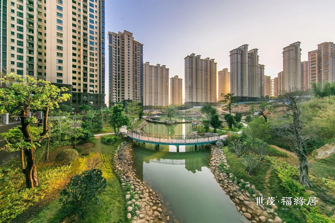 泉州洛江世茂最新动态揭秘,巷弄深处的美食秘境探索