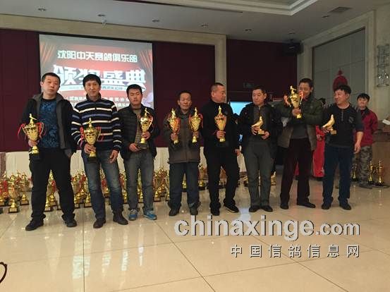 沈阳中天赛鸽俱乐部最新消息,沈阳中天赛鸽俱乐部最新消息,小巷中的隐藏宝藏