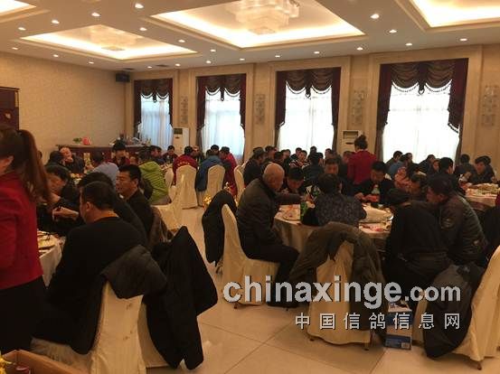 沈阳中天赛鸽俱乐部最新消息,沈阳中天赛鸽俱乐部最新消息,小巷中的隐藏宝藏