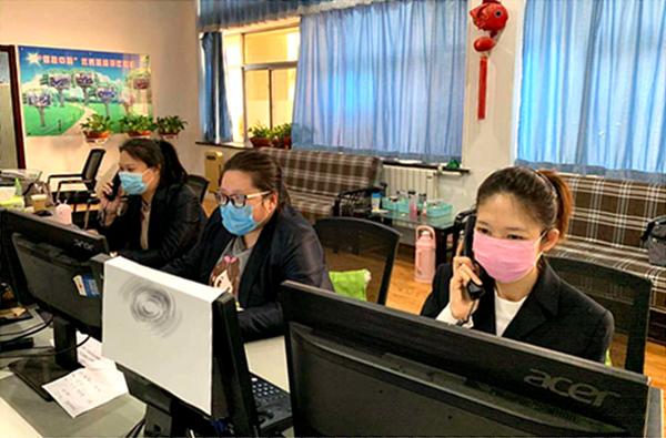 大港油田七期最新动态,心灵与自然的完美交融