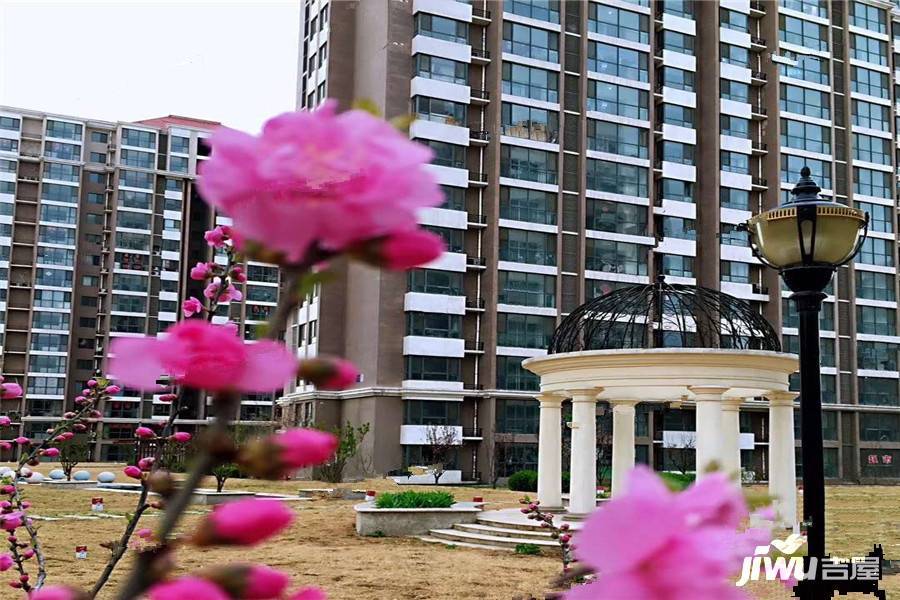 即墨阅海名都最新动态更新