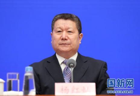 杨红灿最新观点论述解析