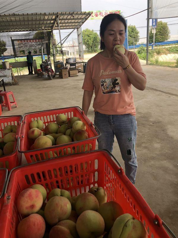 最新版律师,日常小趣事与深厚友情的温馨展现