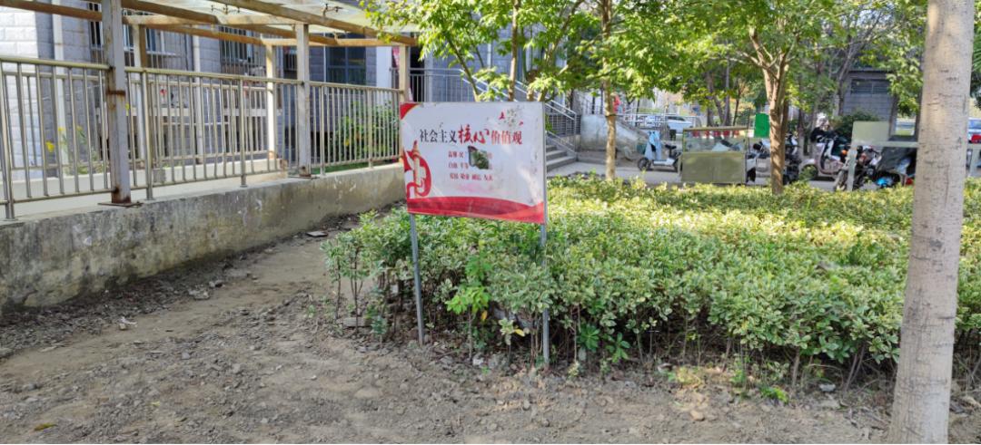 九华最新动态更新概况