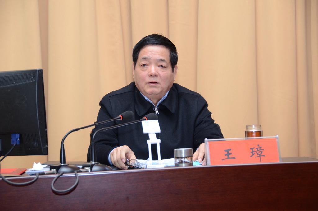 王璋最新职务,小巷中的美食探险之旅领航者