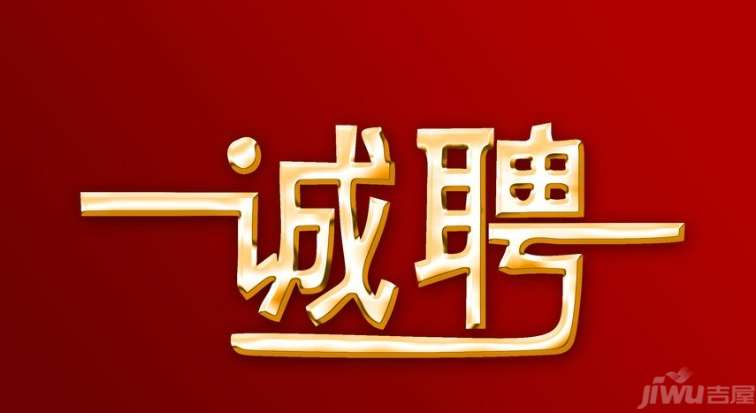 金凤最新招聘详解,应聘步骤指南与求职成功秘籍