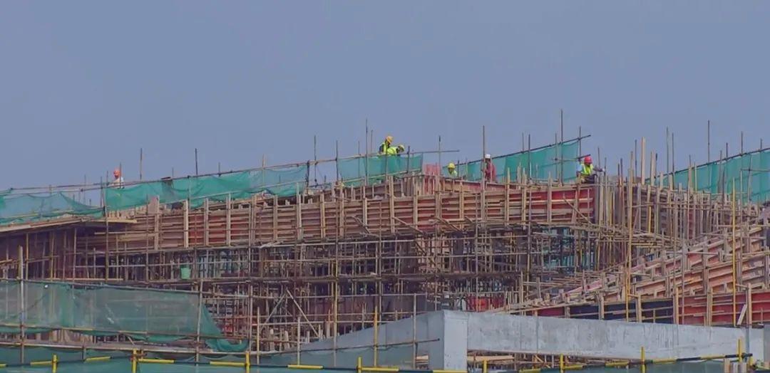 泰州最新动态,城市温情与家的故事日常更新