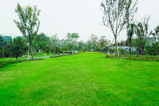 最新绿地动态更新消息