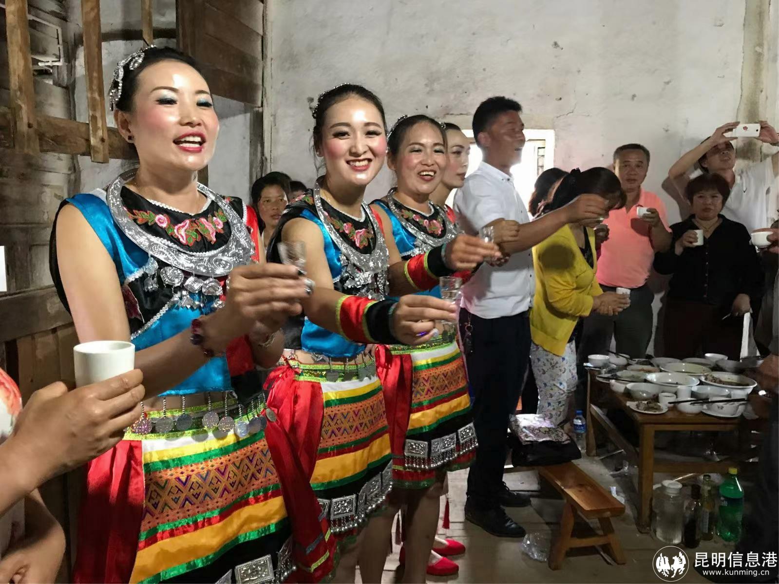 最新祝酒歌,文化与庆祝的完美交融