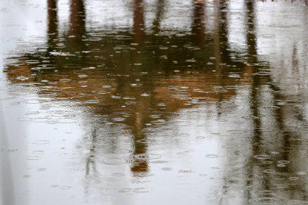 小雨最新动态,自然美景的探索之旅