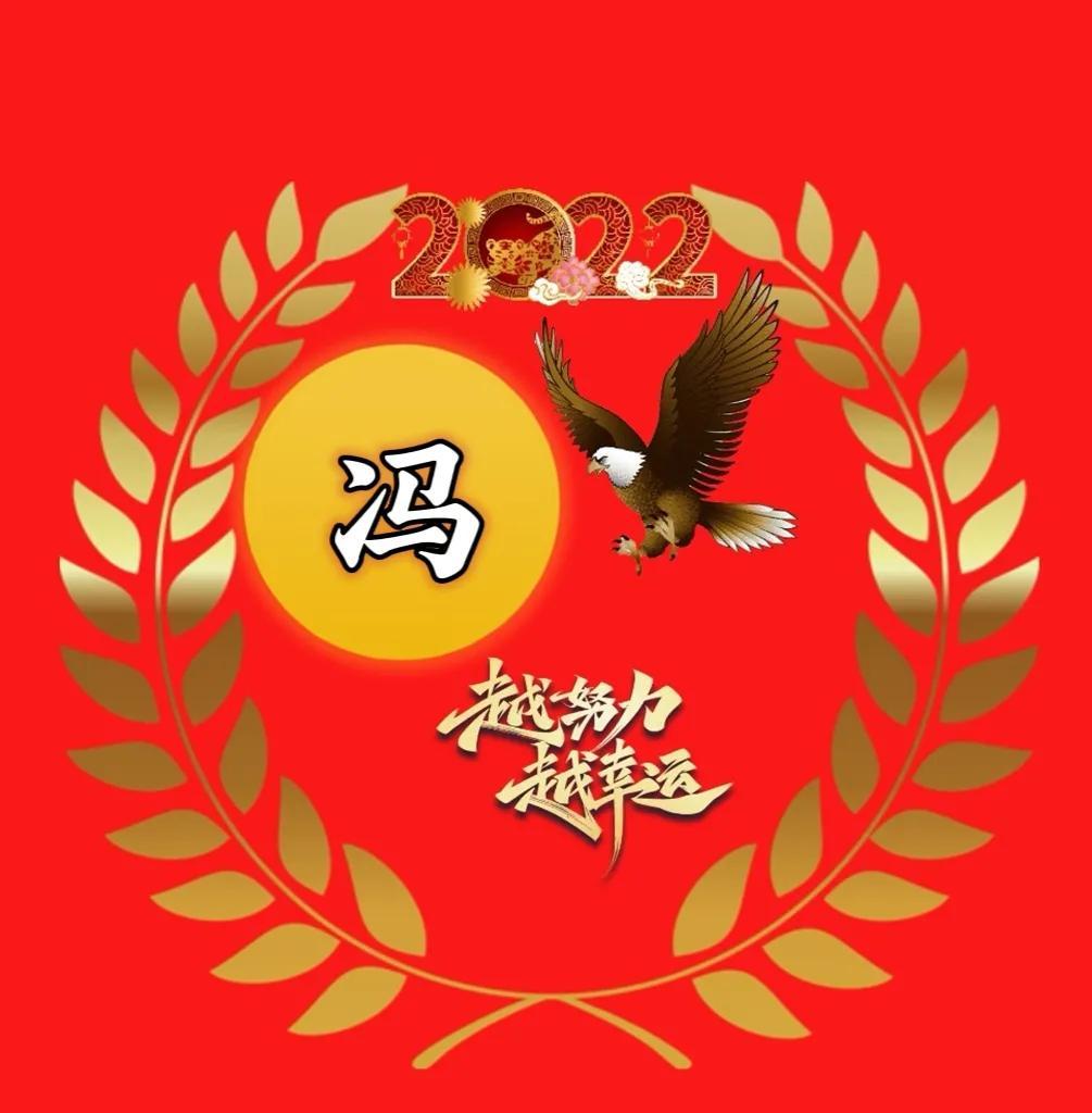 最新姓氏头像图,最新姓氏头像图,一种文化符号的演变与影响