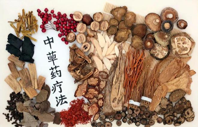 最新肝癌中药治疗及其步骤指南