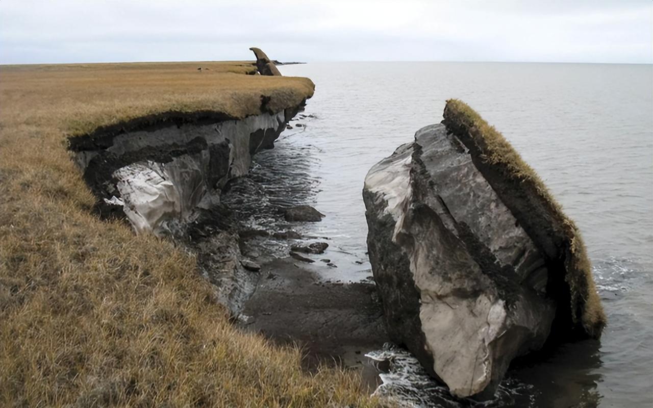 末日天坑最新,日常中的不寻常故事