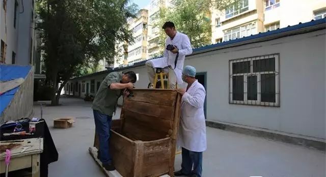 李海军干尸日常趣事与友情纽带,最新动态与趣味一览