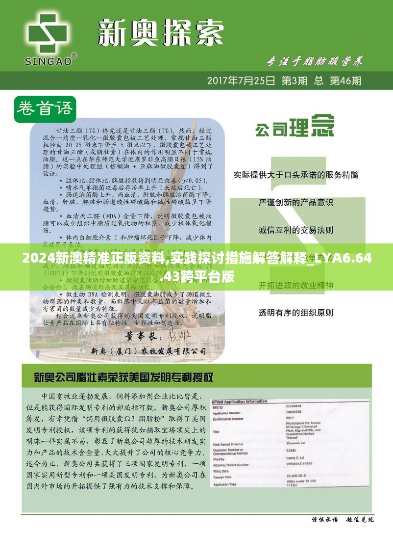 2024正版资料,实际调研解析_先锋实践版94.771