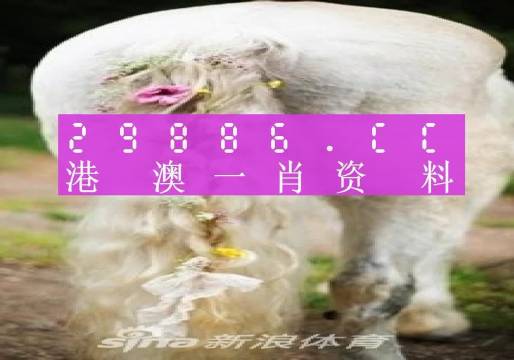 汽车饰品的销售 第303页