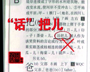 澳门三肖三码精准100%新华字典,理论考证解析_变革版6.957