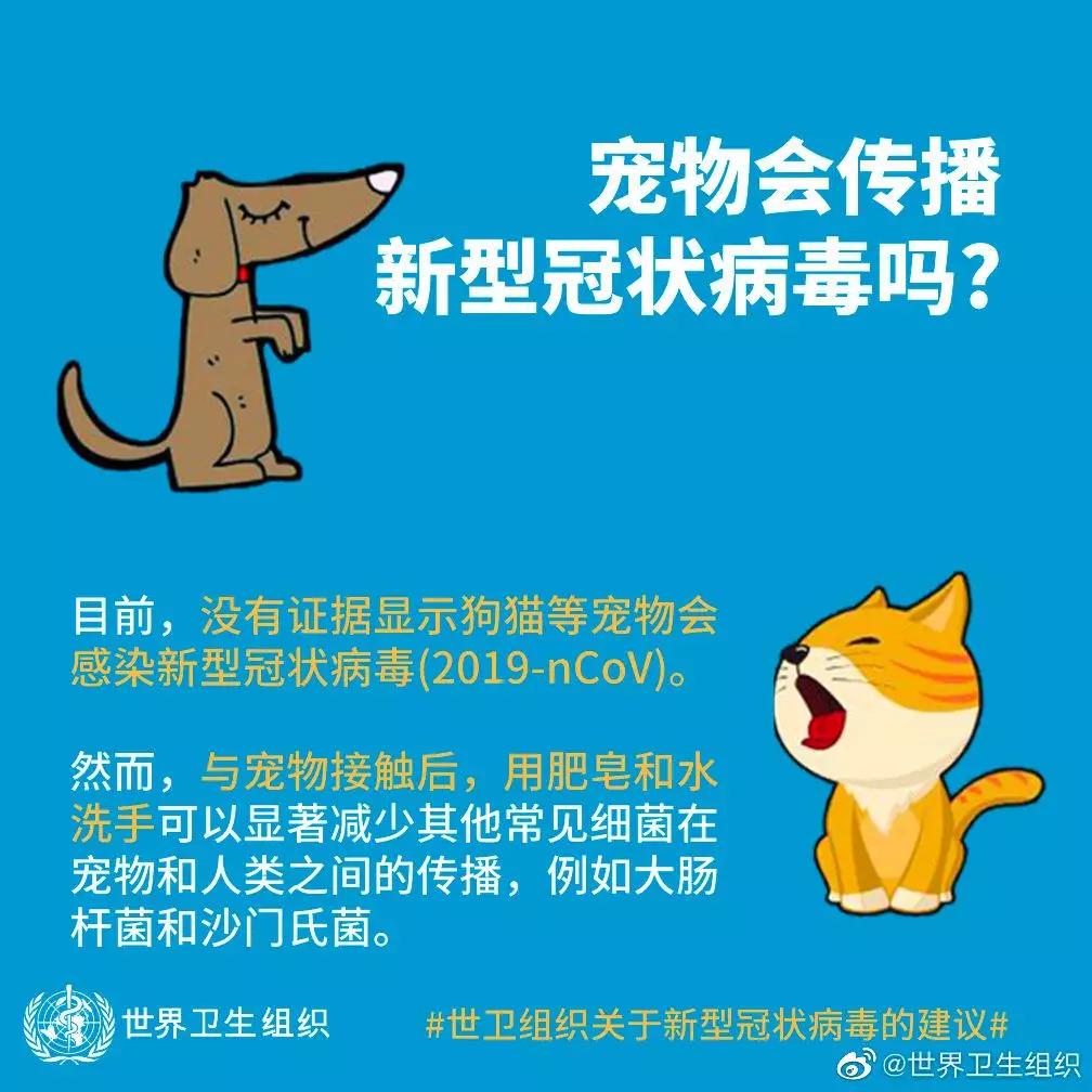 病毒最新症状揭秘,智能监测神器领跑科技前沿