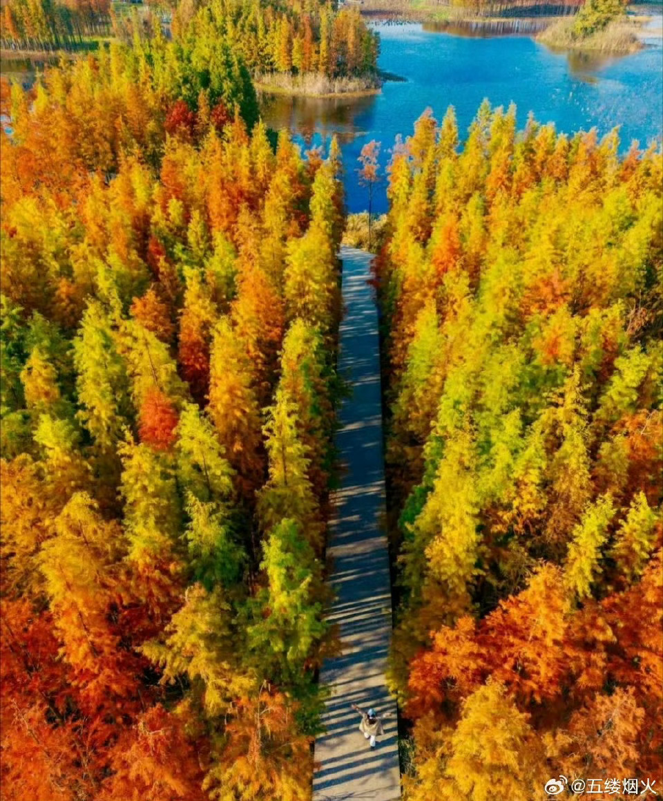 网红地最新,追梦之旅的魔法之地,自信与成就感的源泉