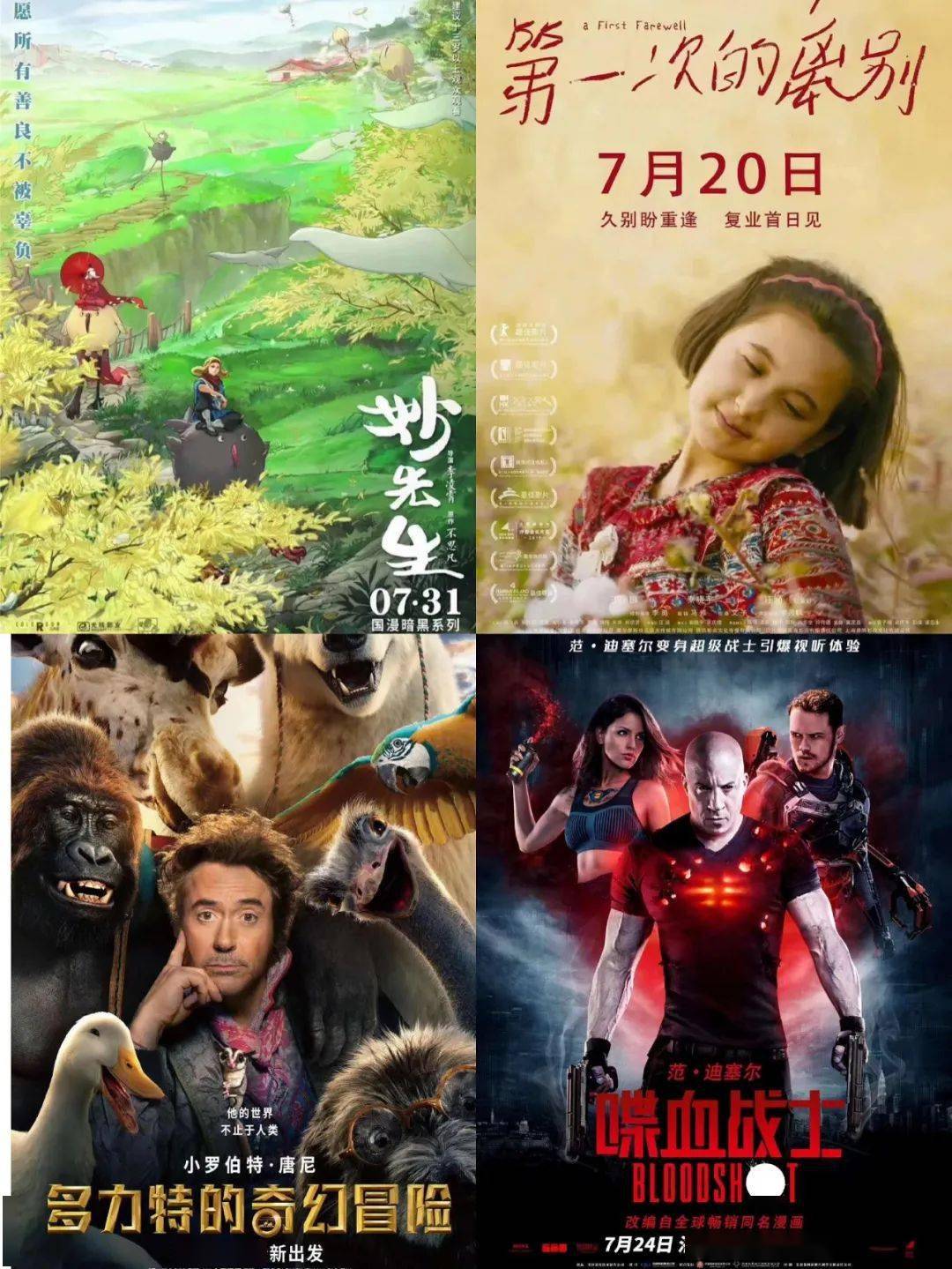 影院复工指南,最新电影观看推荐与指南