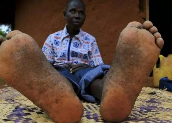 最新沙蚤脚制作指南,从初学者到进阶用户的制作步骤详解