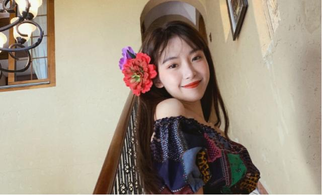 半藏森林最新动态揭秘,自然与科技的融合之美探索