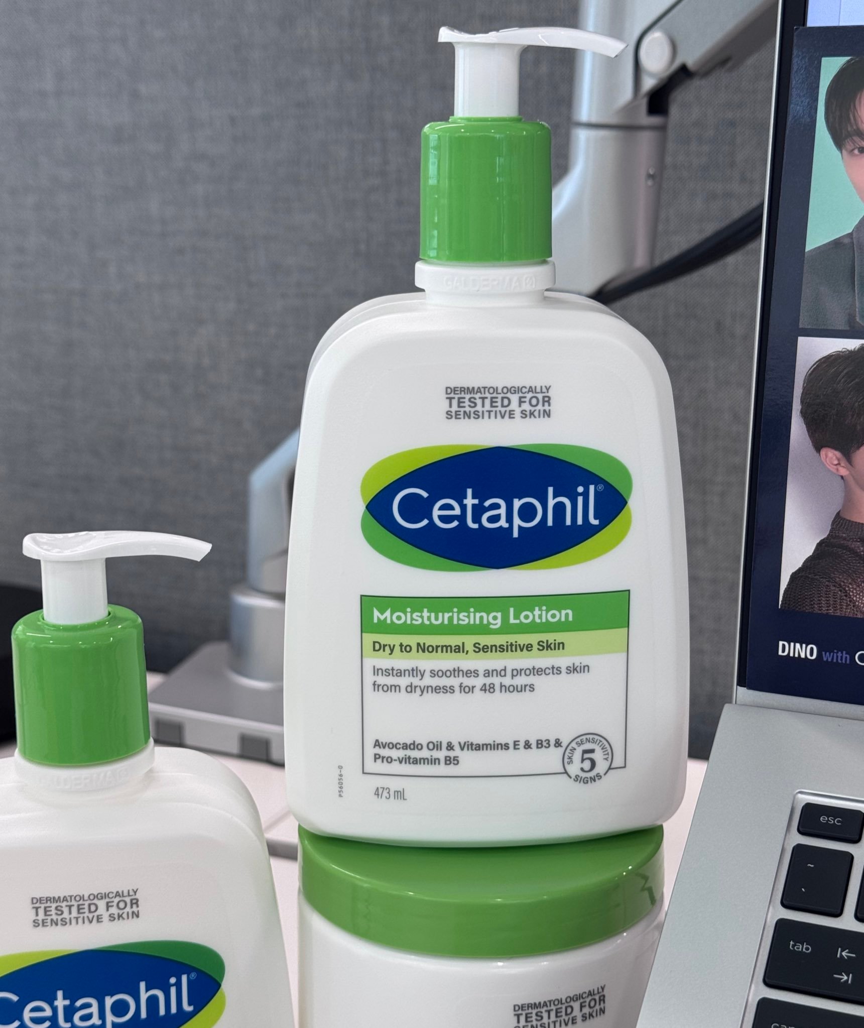 丝塔芙最新日常趣事,爱的纽带与温馨陪伴的时光