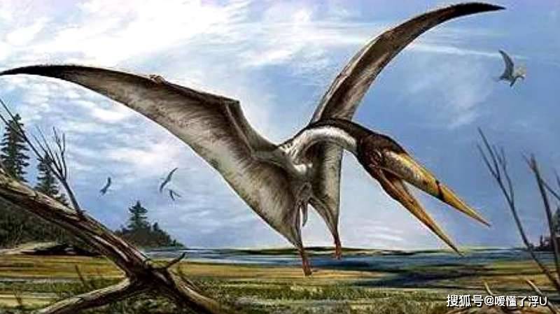 现代武术恐龙,文化解读与反思