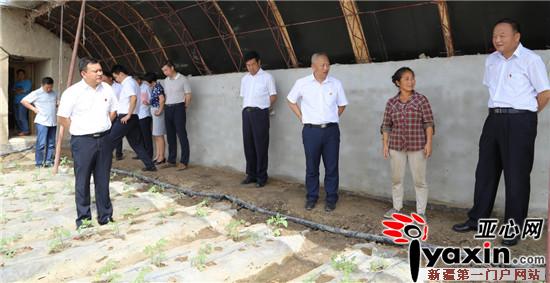 新疆农七师最新领导班子的日常风采展示