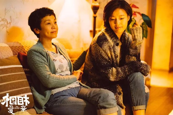 张艾嘉电影，光影中的魅力与深度探索