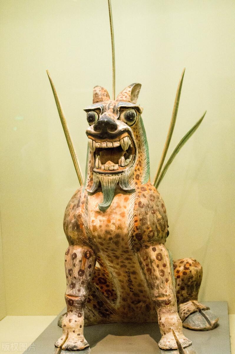 虎库影院最新大片,探索自然美景之旅,寻找内心平和之地