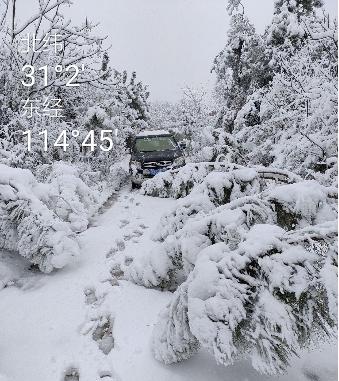 虎库影院最新大片,探索自然美景之旅,寻找内心平和之地