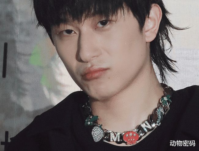 地下明星的秘密世界,不为人知的璀璨星辰💫