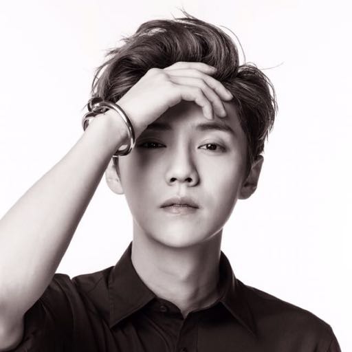 NPV演员职业概述及关键要点解析