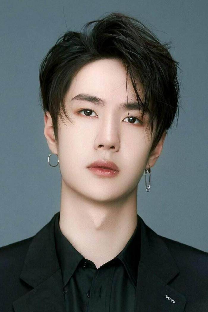 NPV演员职业概述及关键要点解析