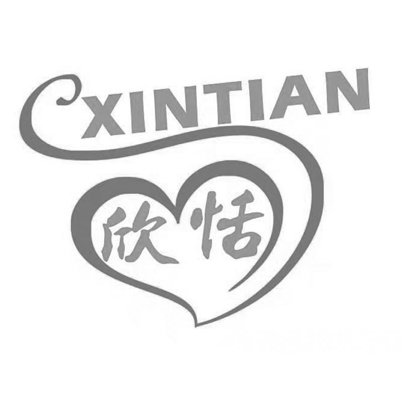 欣恬同人新作,探索未知领域的独特魅力之旅