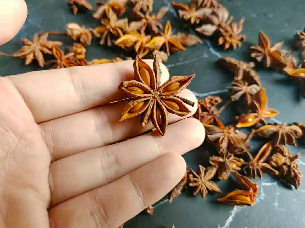 八角价格行情分析