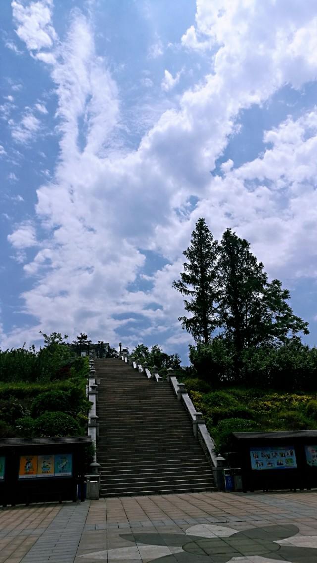 北京武汉最新疫情动态更新,防控形势持续稳定关注中