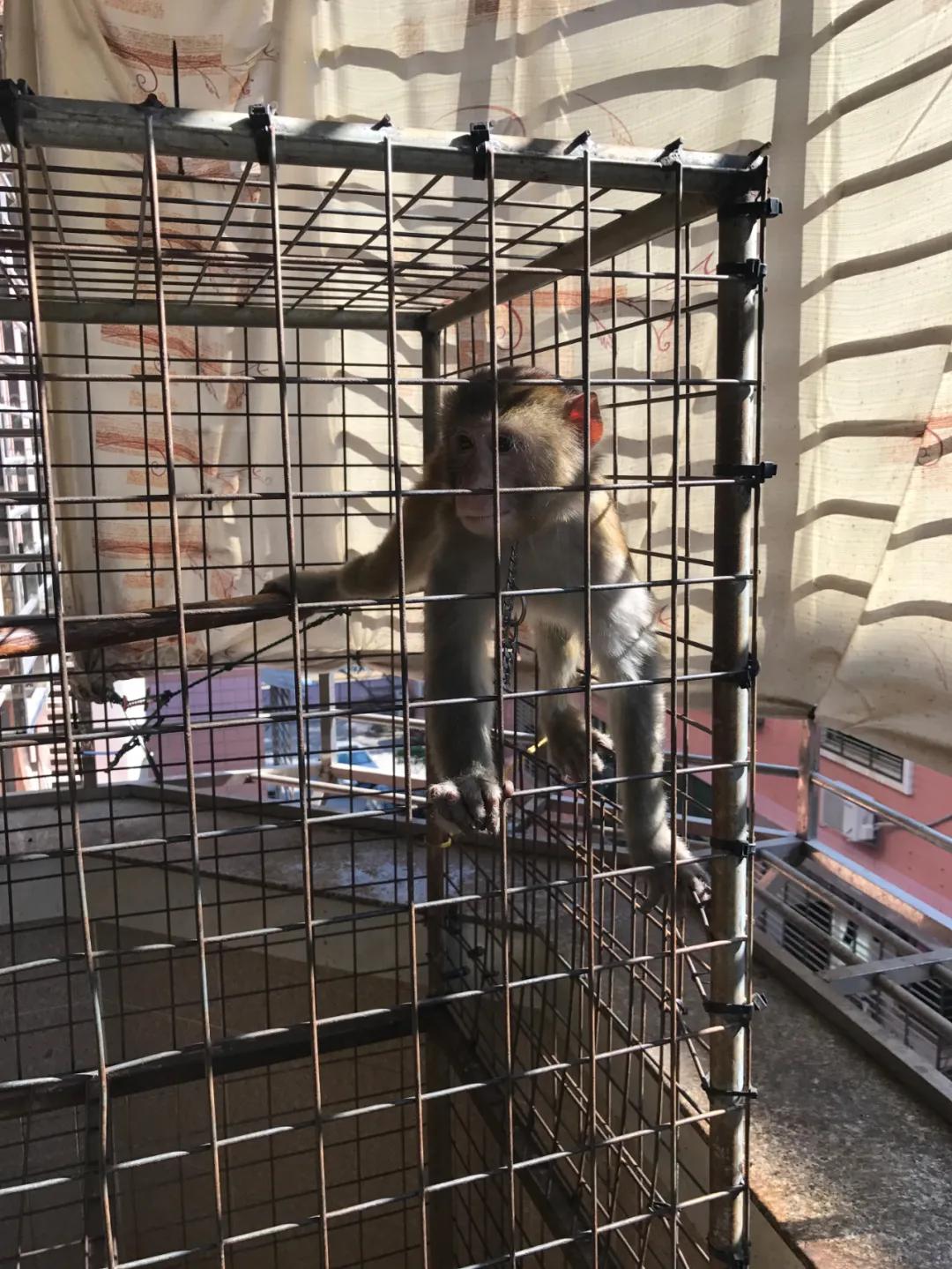 龟鳖目资讯速递,高科技产品介绍专刊