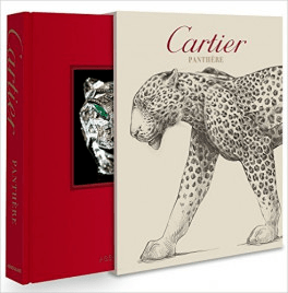 最新豹美图集震撼呈现!