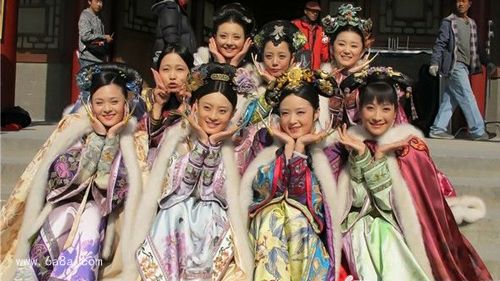 甄嬛传电视剧全集免费版,版权保护与观众需求的博弈之道