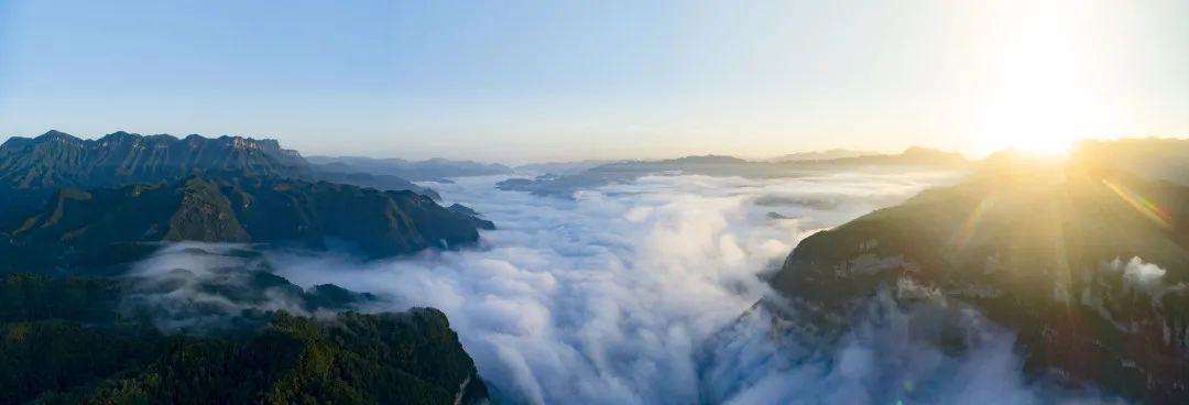 旺苍小巷深处的独特风味,揭秘一家特色小店的独特资讯