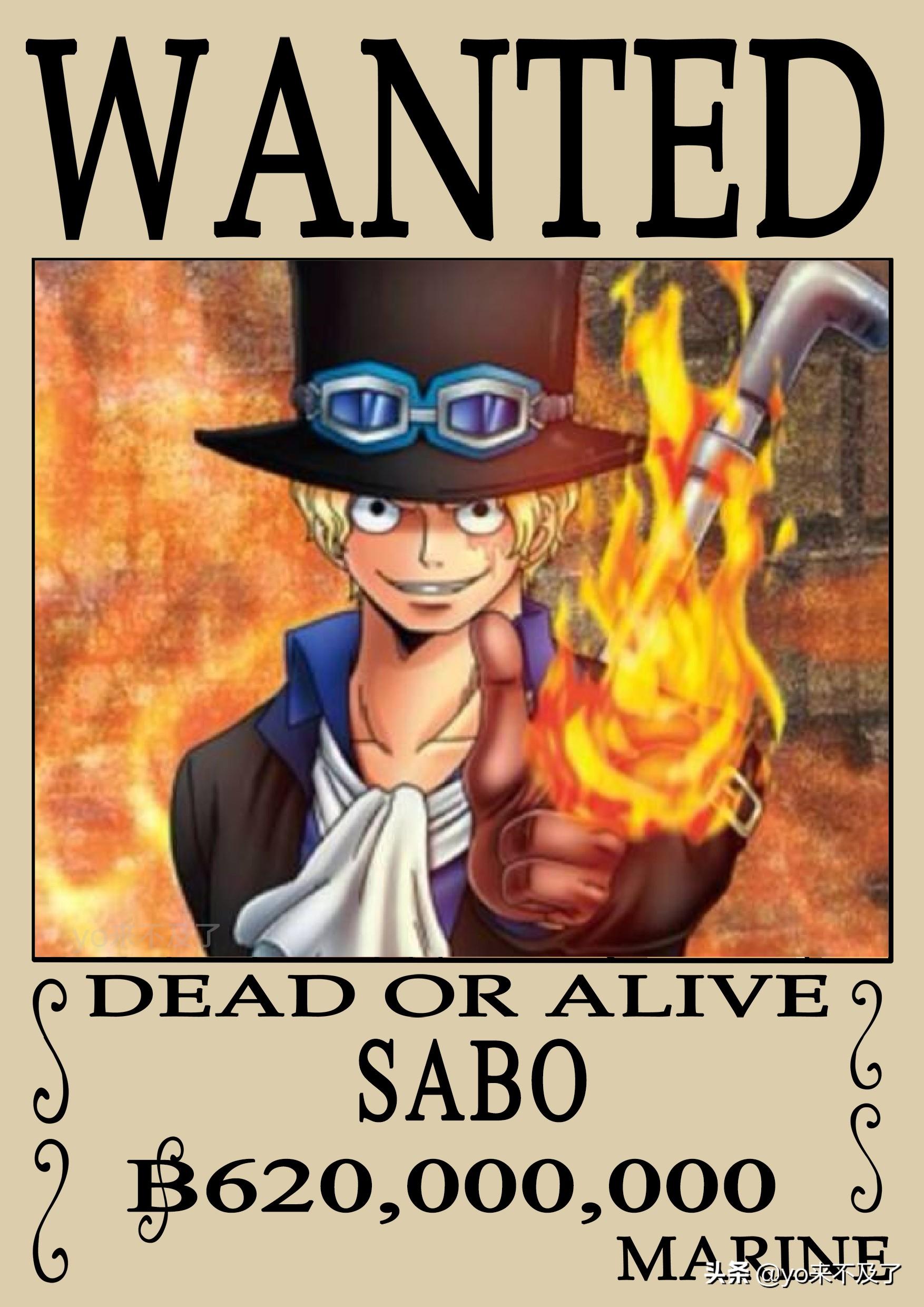 索隆最新赏金情报揭秘,科技革新引领赏金追踪无限可能