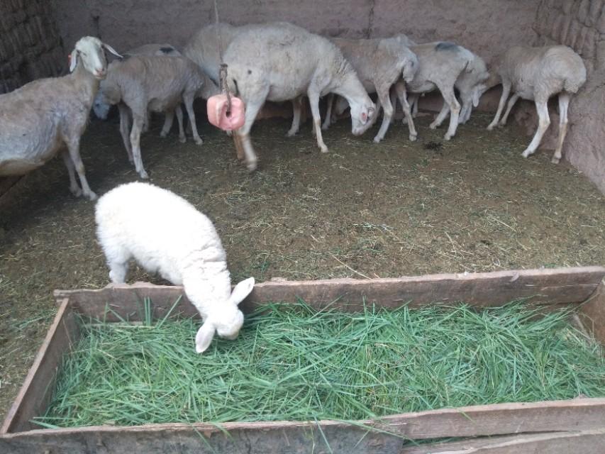 探索小巷隐秘宝藏,特色小店的最新致富秘诀